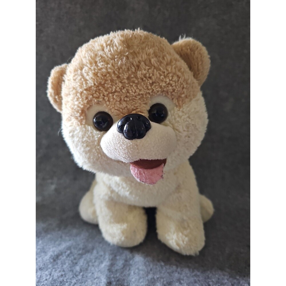 Boo World's Cutest Dog Pomeranian. READ